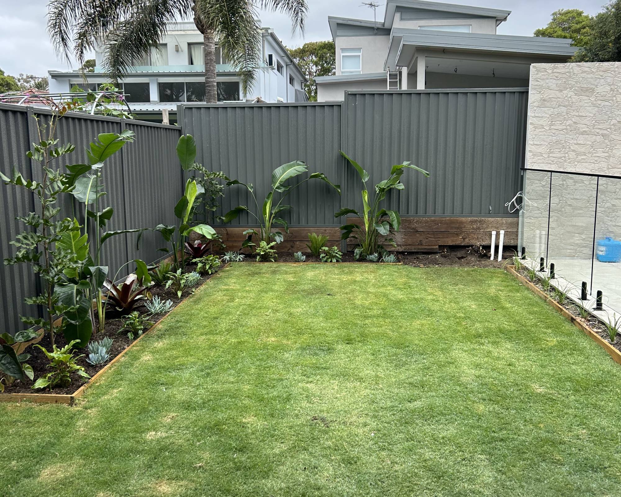 After: Backyard Reclaim