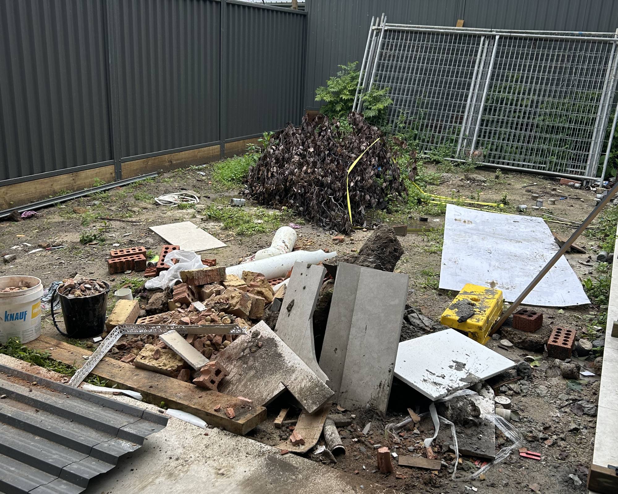 Before: Backyard Reclaim