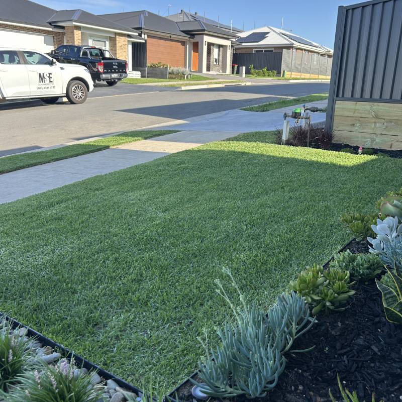 Native garden planting