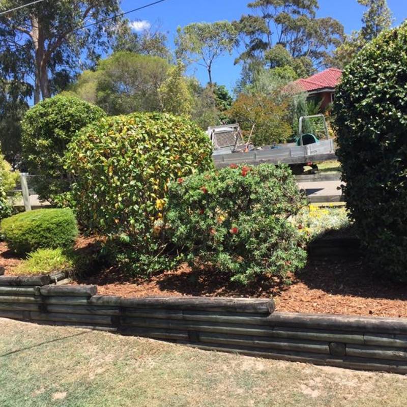 Backyard transformation